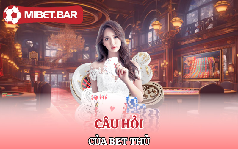 Một số câu hỏi của bet thủ về điều khoản và điều kiện Mibet