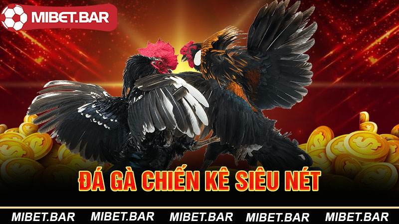 Đá gà chiến kê siêu nét